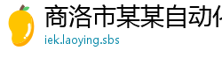 商洛市某某自动化科技培训学校